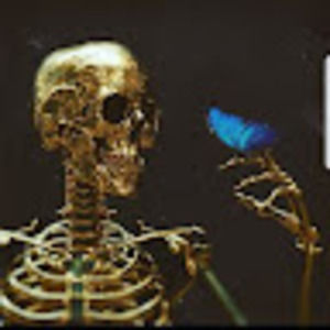 Meet your Posher, Tony david